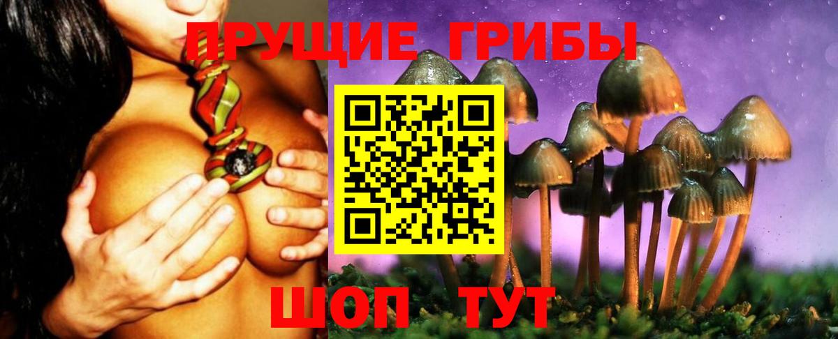 Биробиджан  Псилоцибиновые грибы ЛСД  Галлюциногенные грибы прущие грибы  Вход с VPN 